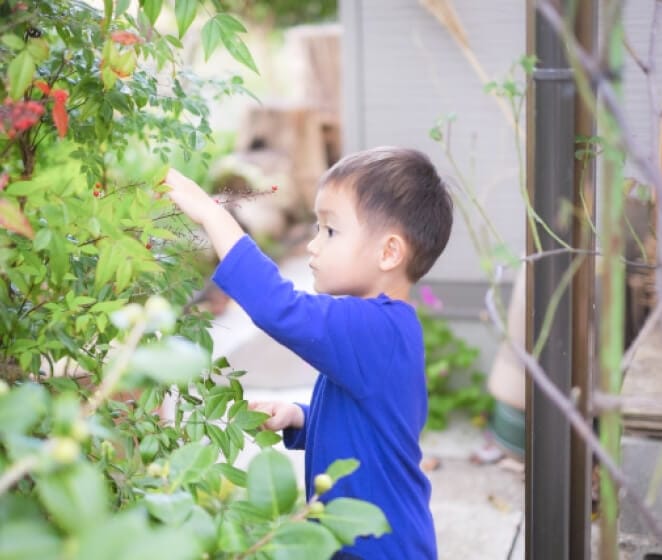 外で葉っぱを触っている男の子